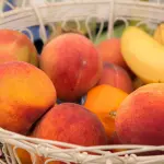 Confagricoltura Salerno a Fruit Logistica: credito, ricerca e filiere al centro del confronto