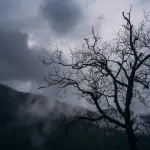 Maltempo in arrivo al Sud: allerta gialla su Sicilia e Calabria