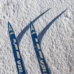 Olimpiadi: Fedriga, da Sappada al mondo i nostri atleti sono leggenda