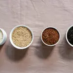 Risicoltura del futuro, a Vercelli il confronto su innovazione e droni