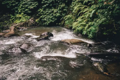 IDRAIM, a Torino il XII corso nazionale sull’Indice di Qualità Morfologica dei corsi d’acqua