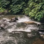 IDRAIM, a Torino il XII corso nazionale sull’Indice di Qualità Morfologica dei corsi d’acqua