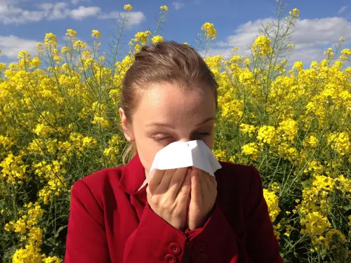 Allergie da pollini, indagine ISPRA: servono dati più integrati e previsioni più precise