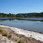 Salicoltura marina, il Manifesto rilancia il settore e chiede il riconoscimento agricolo