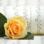 Pratiche di Pace: musica, meditazione e comunicazione nonviolenta