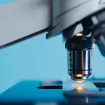 PRIN 2026, 260 milioni per la ricerca: il nuovo bando punta su reti più ampie e giovani studiosi