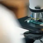 Ricerca italiana, dal MUR 30 milioni per programmi europei e cooperazione internazionale