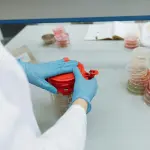 Tajani apre il vertice FAO sulla sicurezza alimentare