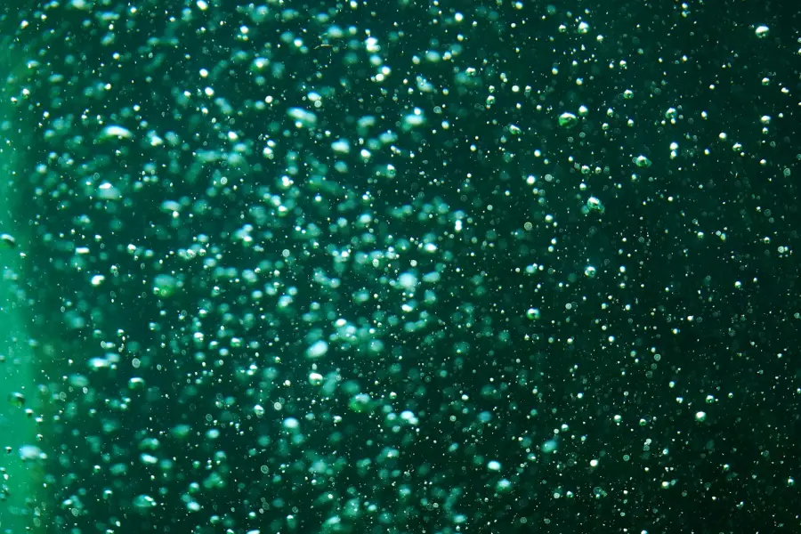 Plancton prodotto in laboratorio: a Livorno la fattoria del mare ISPRA