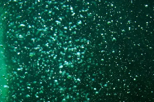 Plancton prodotto in laboratorio: a Livorno la fattoria del mare ISPRA