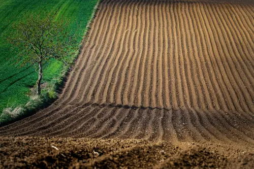 Agricoltura, rinnovato il contratto nazionale: aumento del 5,1%