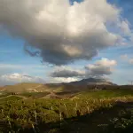 Youth4Climate su Rai 1 nel documentario con Mattarella
