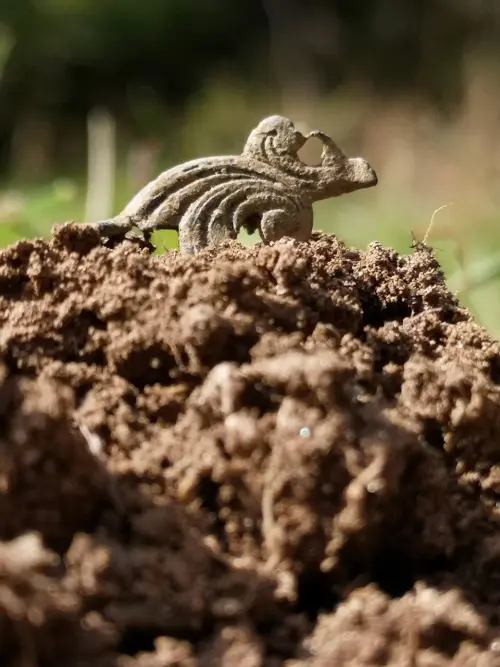 Nuove indagini archeologiche nelle Grotte di Pertosa-Auletta: un archivio unico della storia umana sotterranea