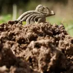 Nuove indagini archeologiche nelle Grotte di Pertosa-Auletta: un archivio unico della storia umana sotterranea