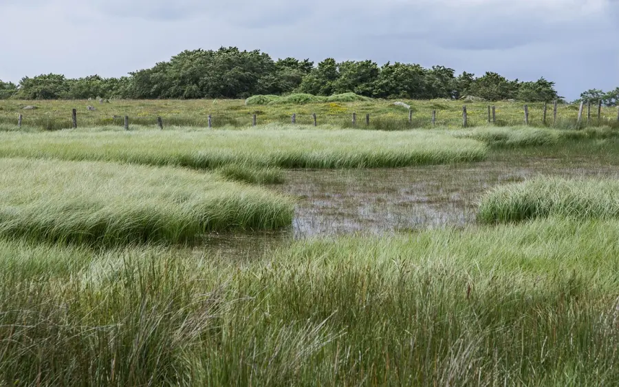 Giornata mondiale delle zone umide, Pichetto: “Una risposta naturale alla crisi climatica”