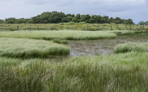 Giornata mondiale delle zone umide, Pichetto: “Una risposta naturale alla crisi climatica”