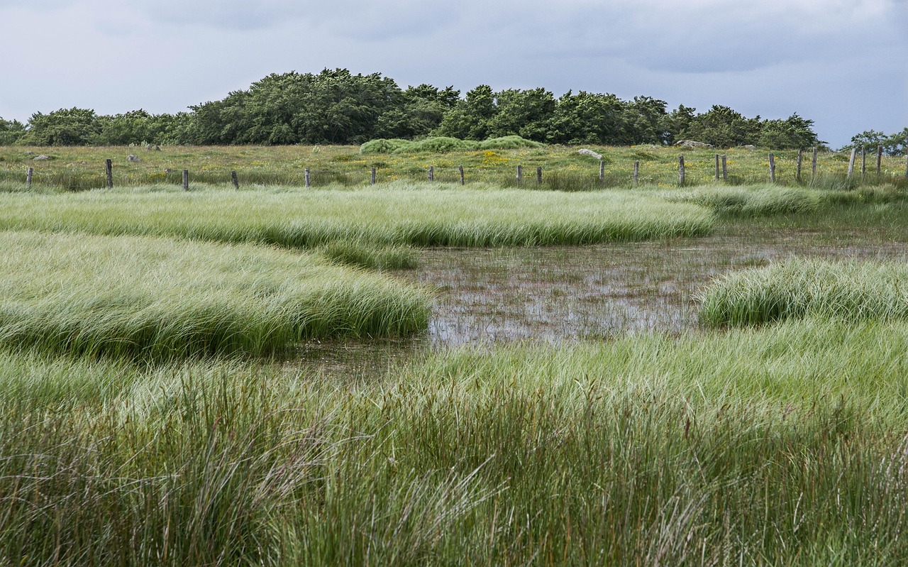 Giornata mondiale delle zone umide, Pichetto: “Una risposta naturale alla crisi climatica”