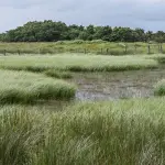 Giornata mondiale delle zone umide, Pichetto: “Una risposta naturale alla crisi climatica”